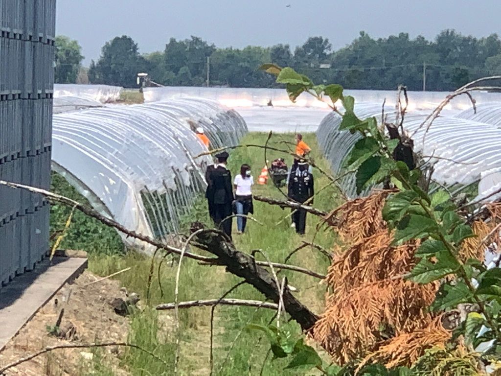 &nbsp;Una foto delle ricerche svolte a Novellara, nel Reggiano&nbsp;
