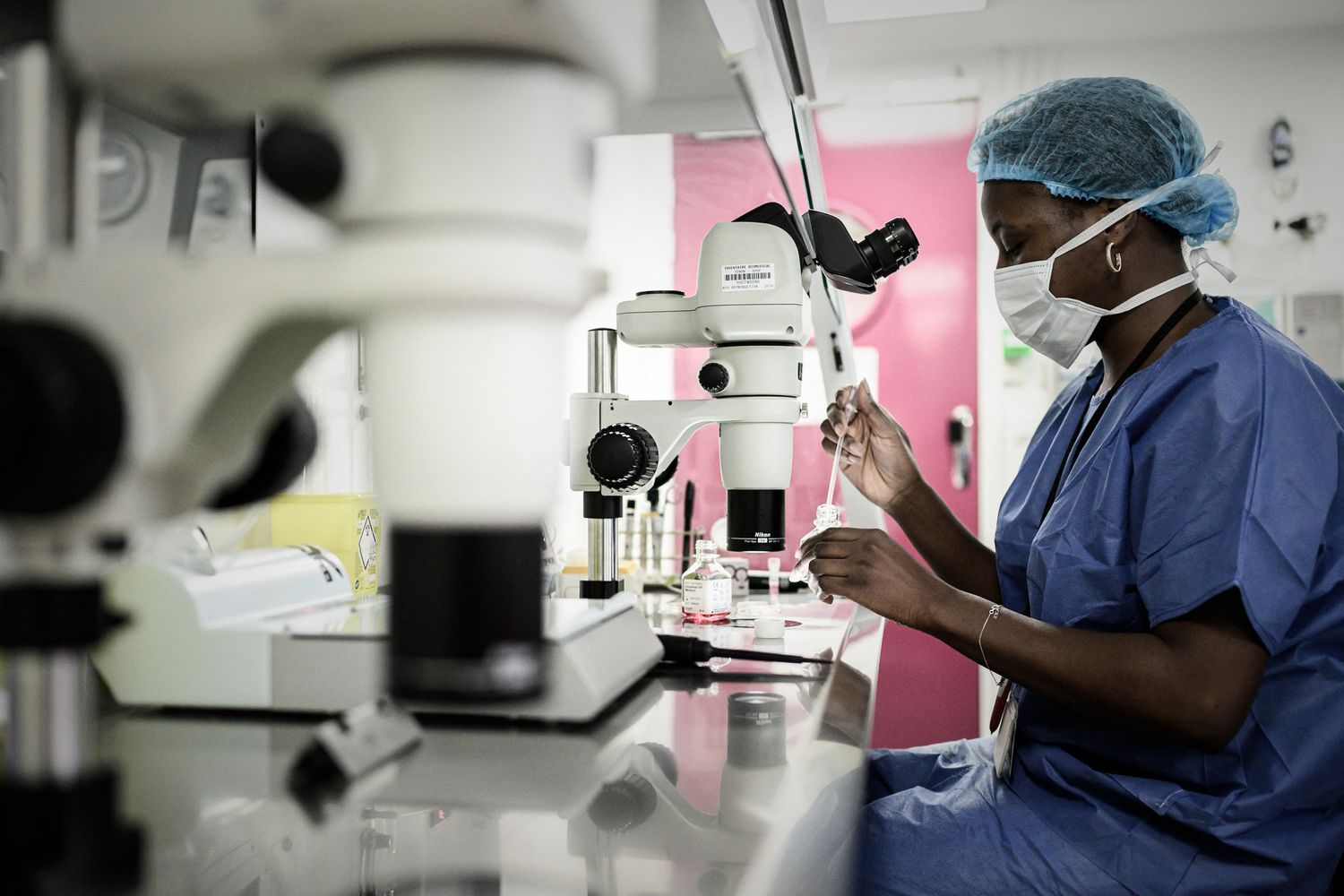 Fecondazione assistita