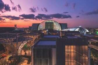 Expo 2020 Fiori nel deserto