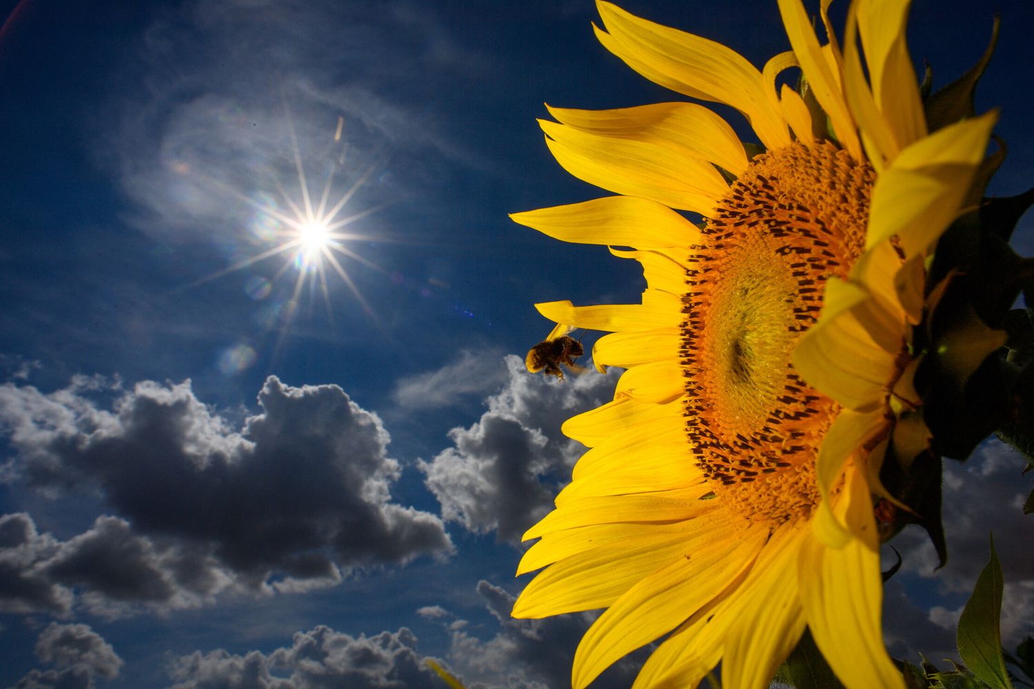 Previsioni del tempo