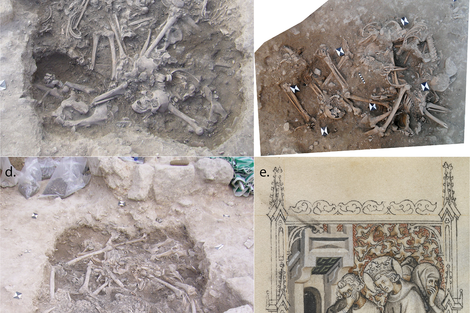 Mikulski RNR, Schutkowski H, Smith MJ, Doumet-Serhal C, Mitchell PD (2021).&nbsp;https://doi.org/10.1371/journal.pone.0256517