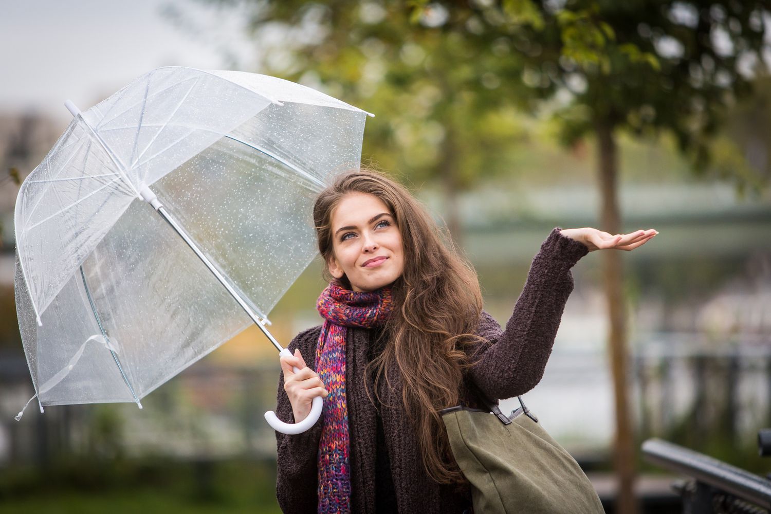 Iniziano le piogge d'autunno