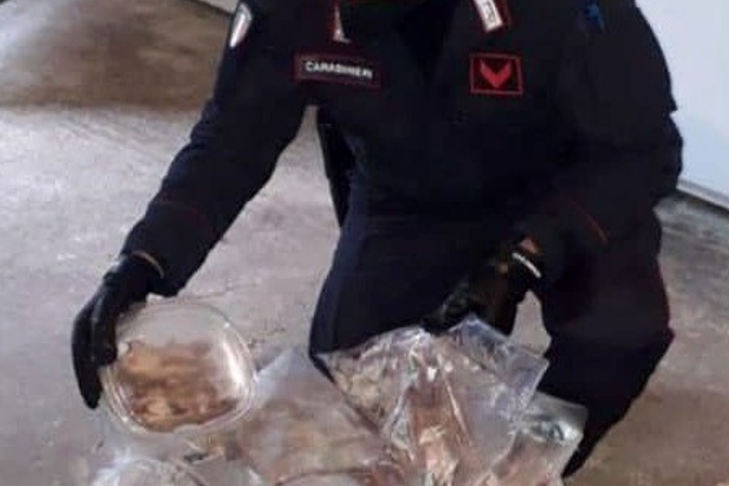 Il ritrovamento dei ghiri congelati