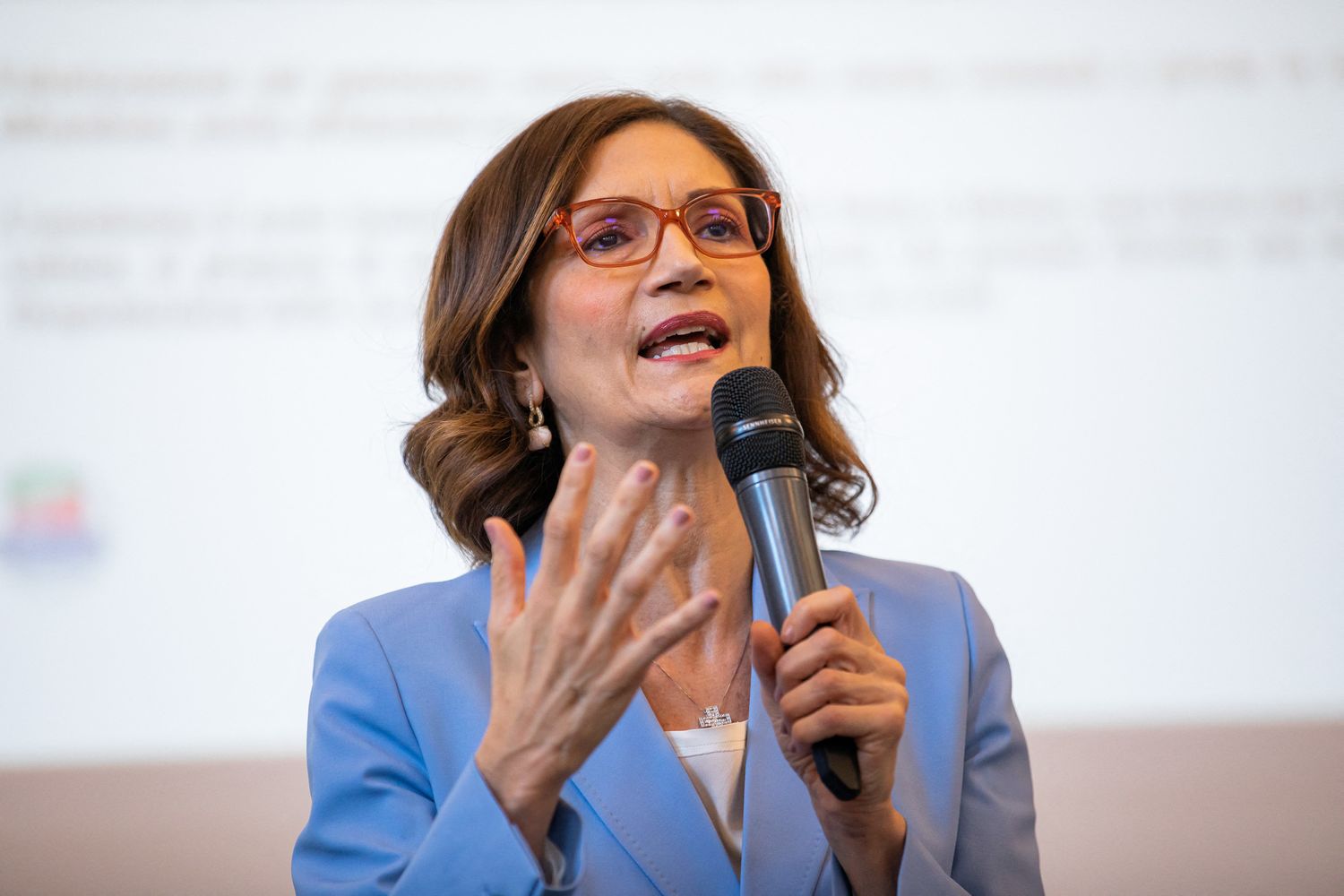 Mariastella Gelmini&nbsp;