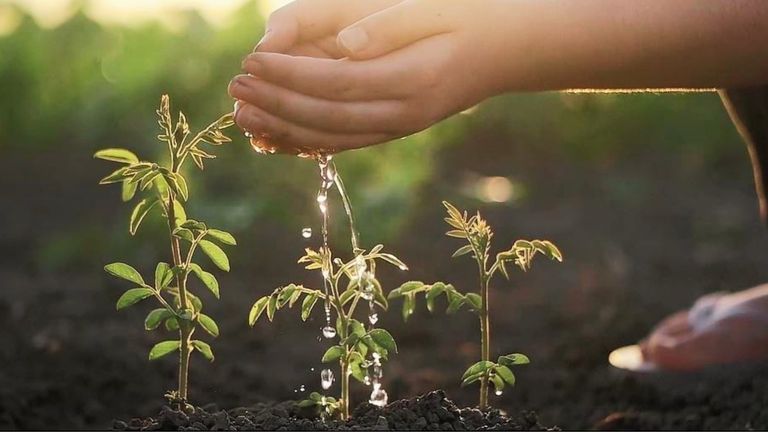 Native article su Finance in Common Summit