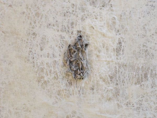 Opera di Giulia Spernazza