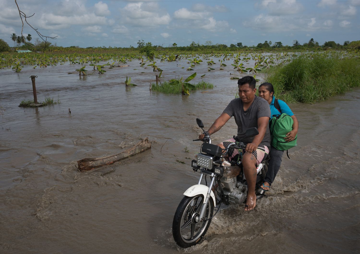 Una piantagione inondata nello Stato di Zulia dopo le piogge torrenziali che hanno colpito il Venezuela lo scorso settembre