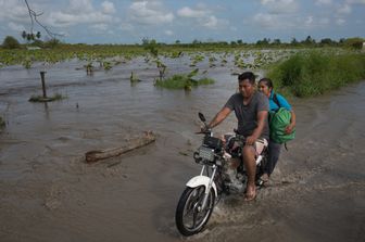 Una piantagione inondata nello Stato di Zulia dopo le piogge torrenziali che hanno colpito il Venezuela lo scorso settembre