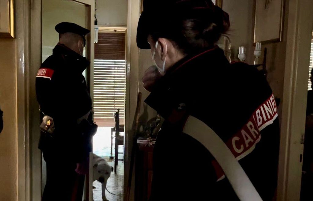 Il pitbull trovato nella casa occupata&nbsp;