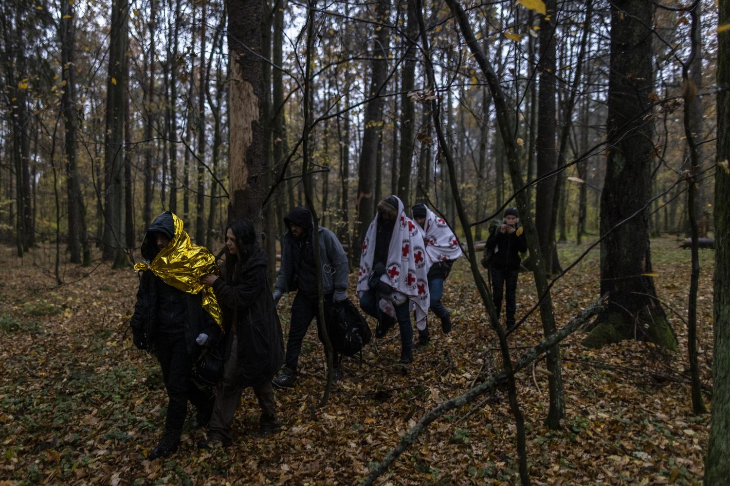 Migranti siriani in cammino in un bosco in Polonia
