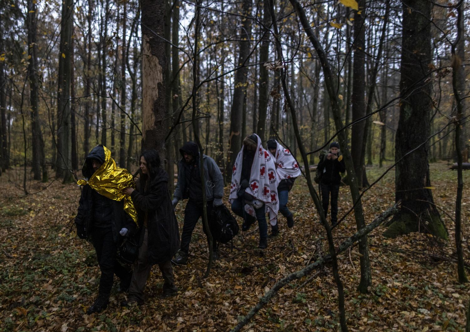 Migranti siriani in cammino in un bosco in Polonia