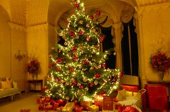 Il tradizionale abete di Natale