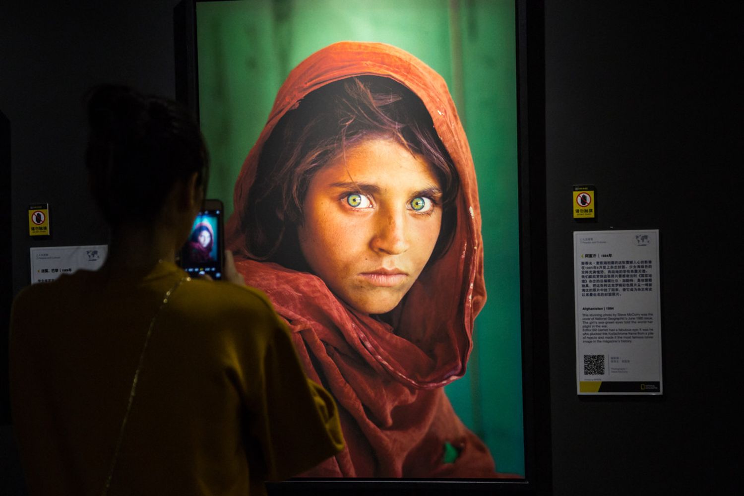 Sharbat Gula ritratta da Steve McCurry