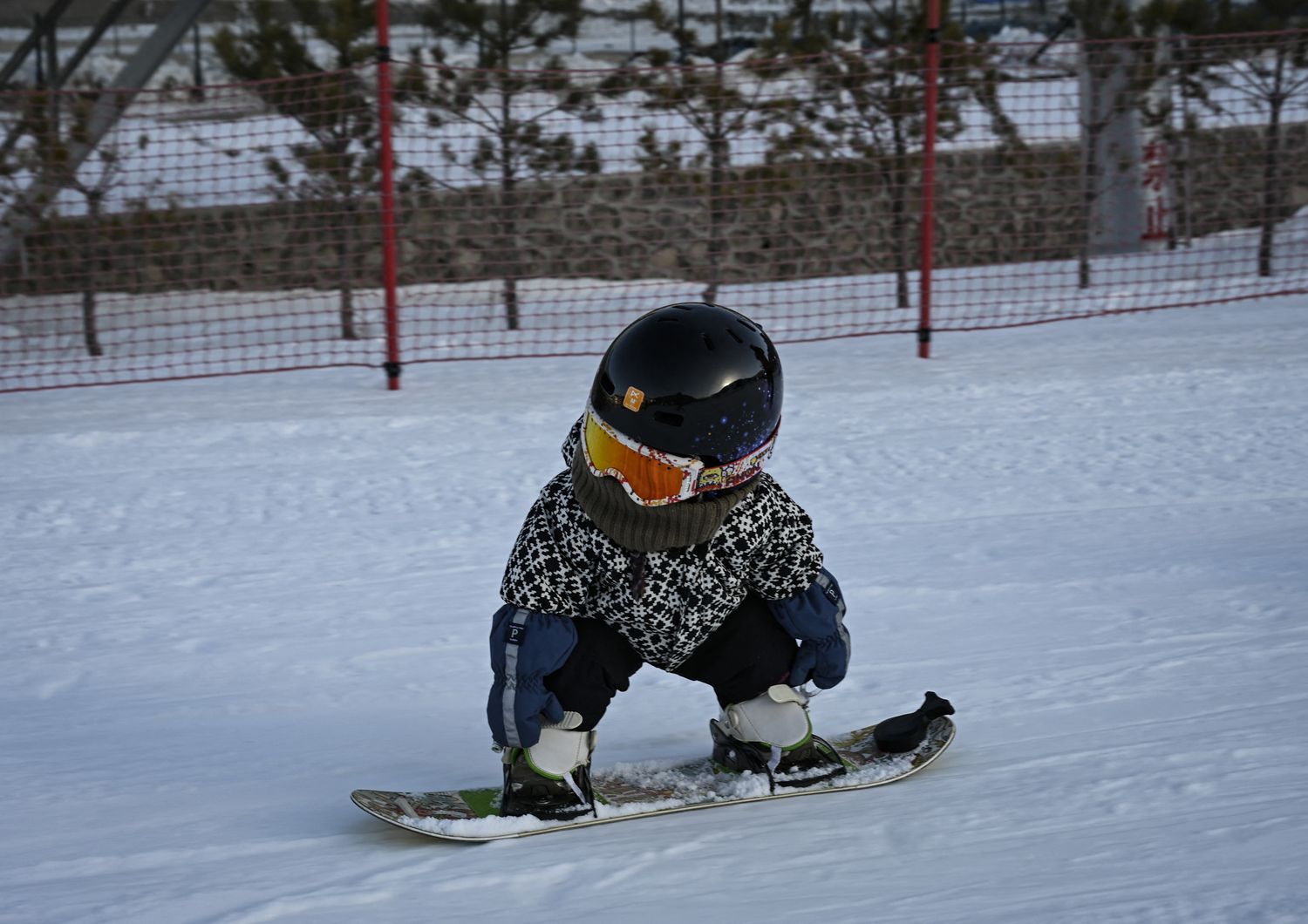 'Beibei' la snowboarder a undici mesi
