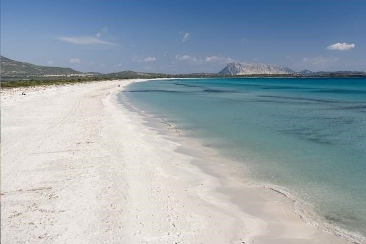 La Cinta (San Teodoro, Sardegna)