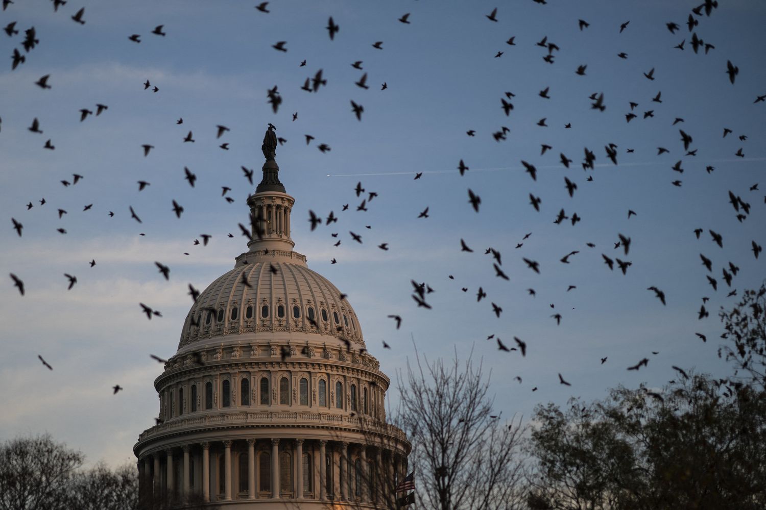 Congresso Stati Uniti