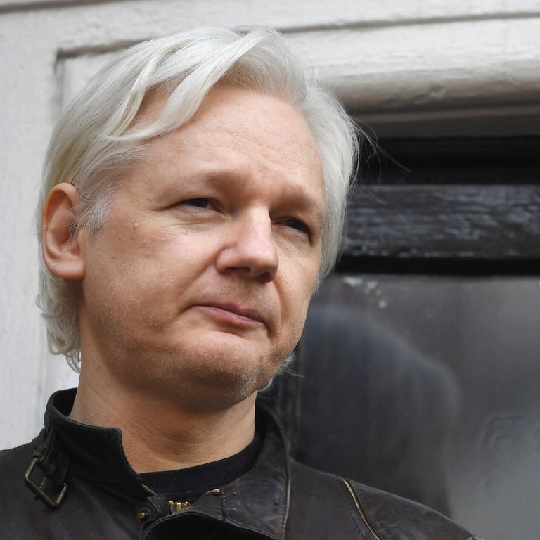 Julian Assange&nbsp;
