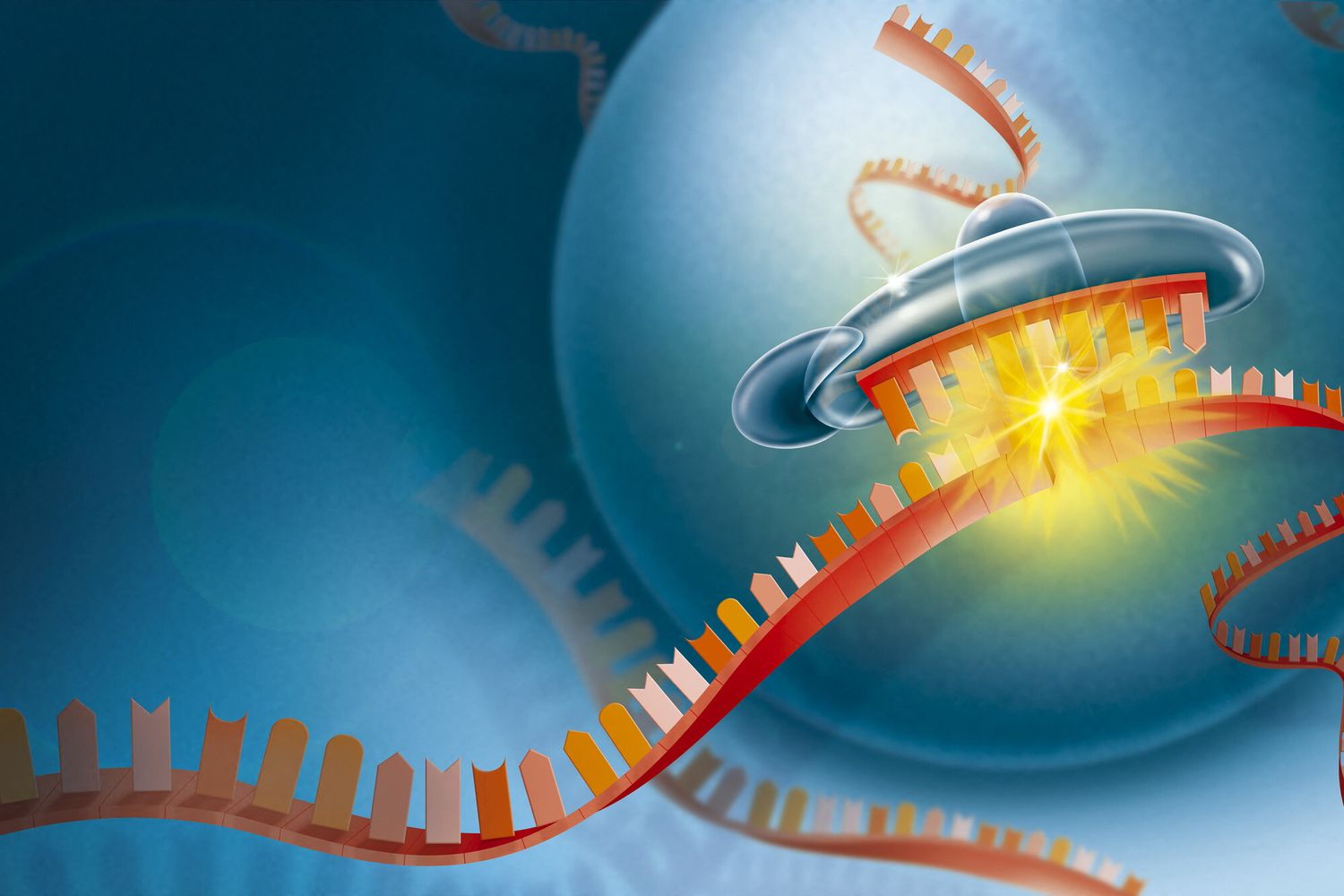 Codice genetico mRna