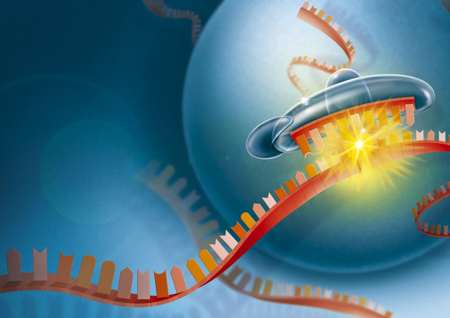 Codice genetico mRna