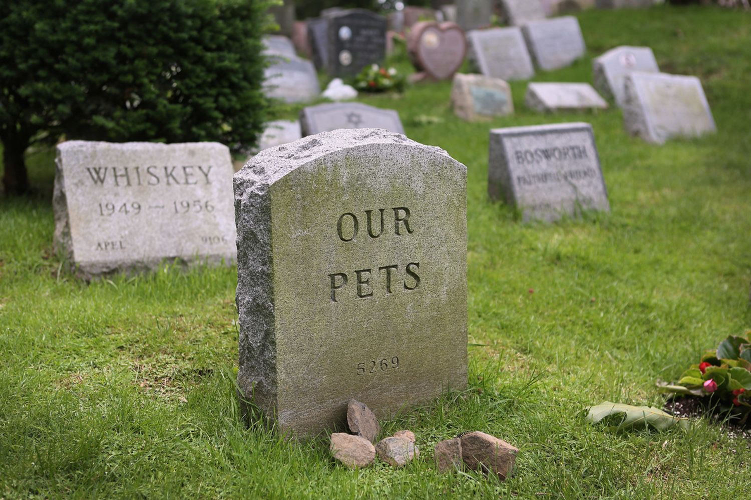 Pet cemetery