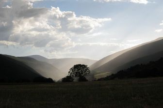 Quale economia per aree montane percorso ricerca Alpi Appennini