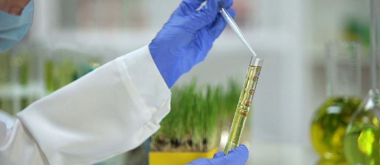 biocarburanti fanno bene sostenibilita economia