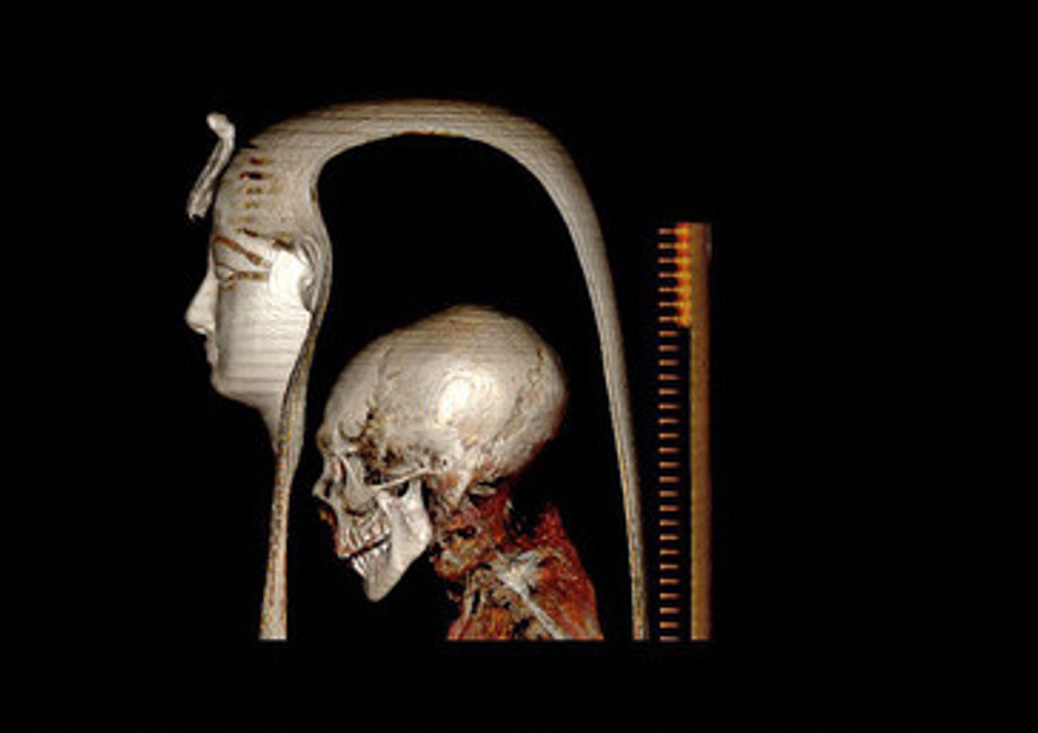 Ricostruzione digitale della testa di Amenhotep I&nbsp;