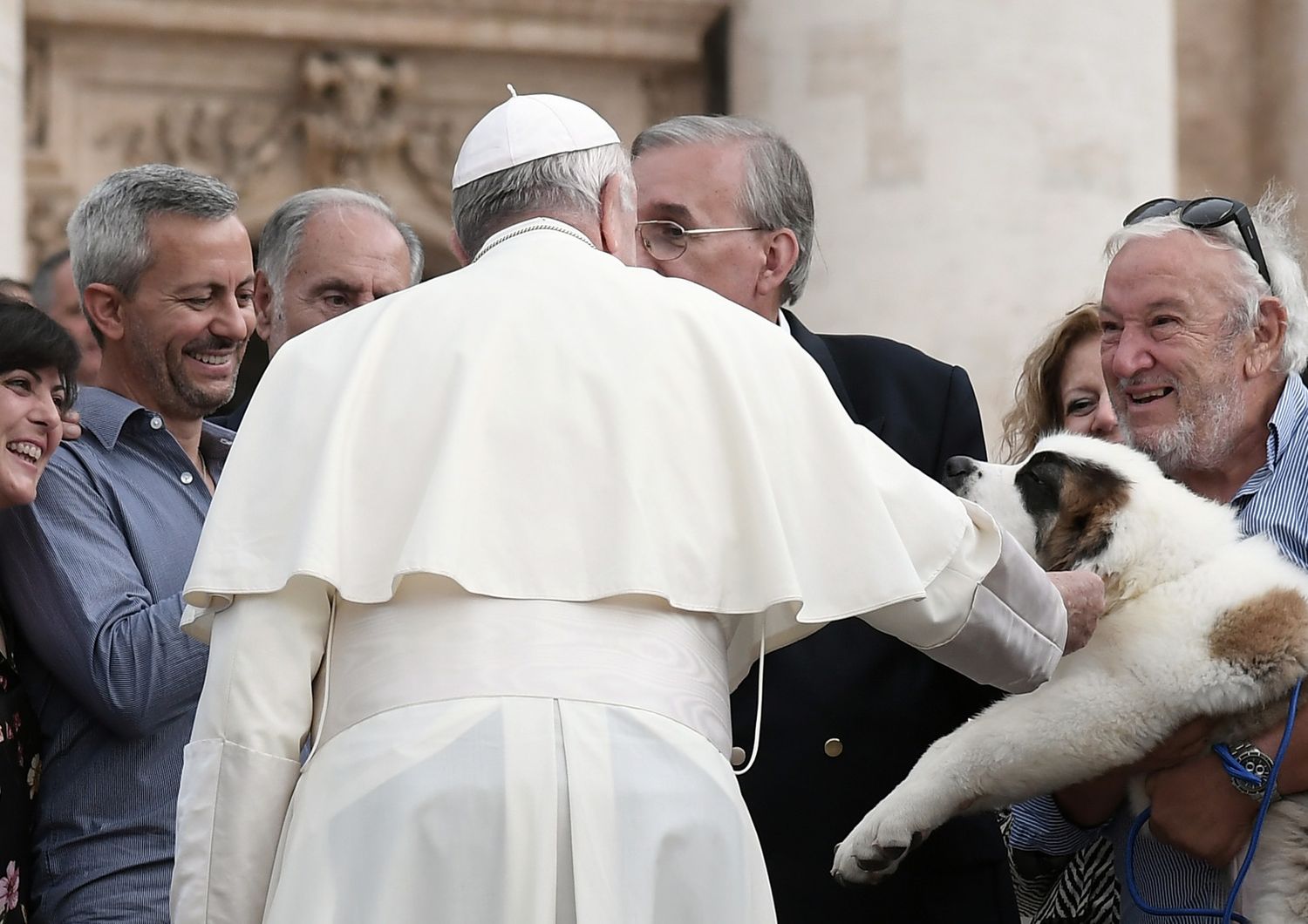 Papa Francesco accarezza un cucciolo di San Bernardo