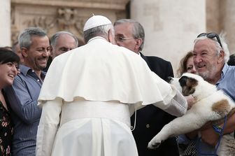 Papa Francesco accarezza un cucciolo di San Bernardo