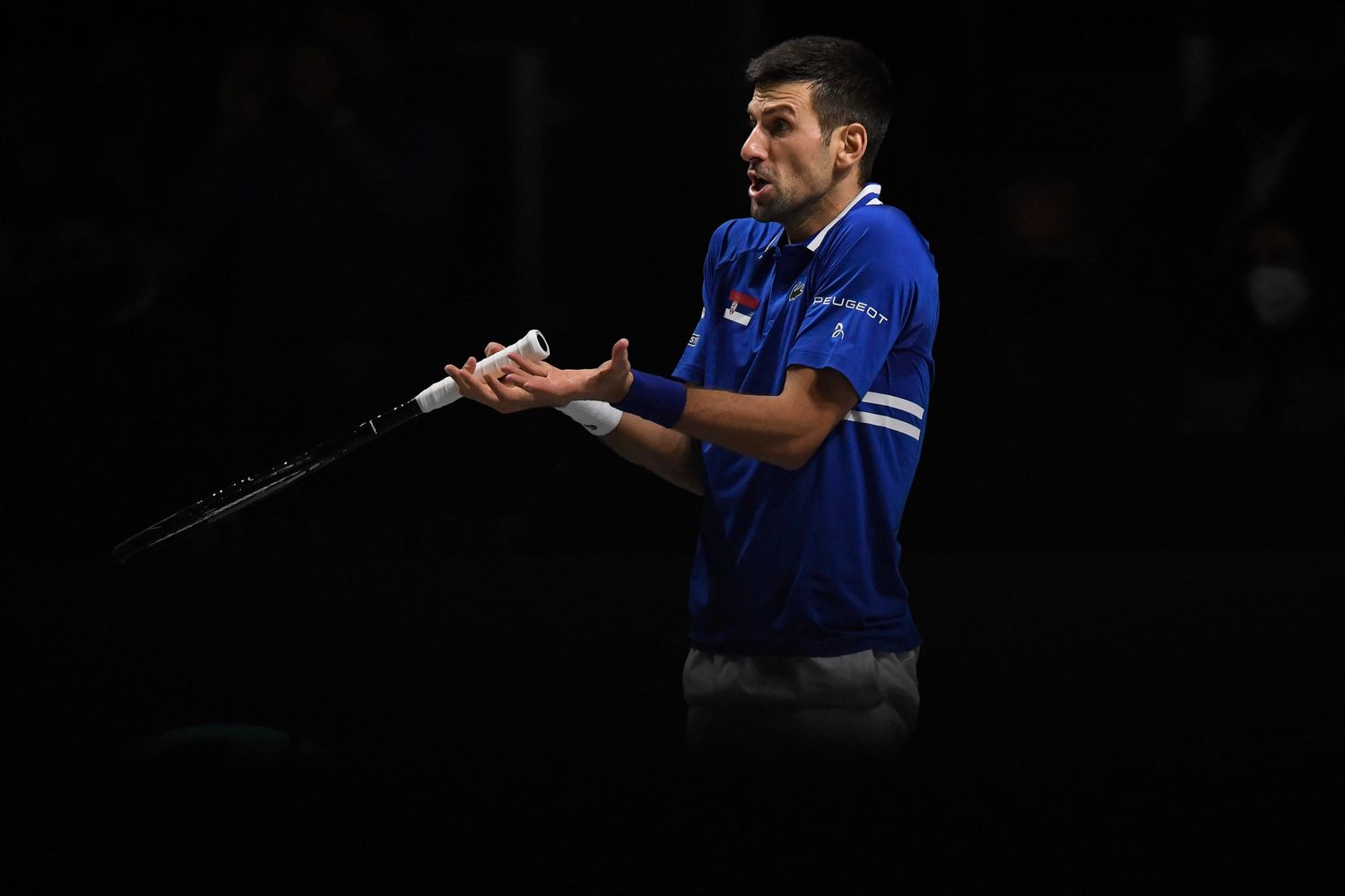 Novak Djokovic&nbsp;