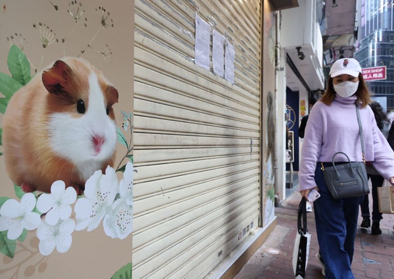 Un negozio di animali di Hong Kong chiuso per paura dei contagi da Covid&nbsp;