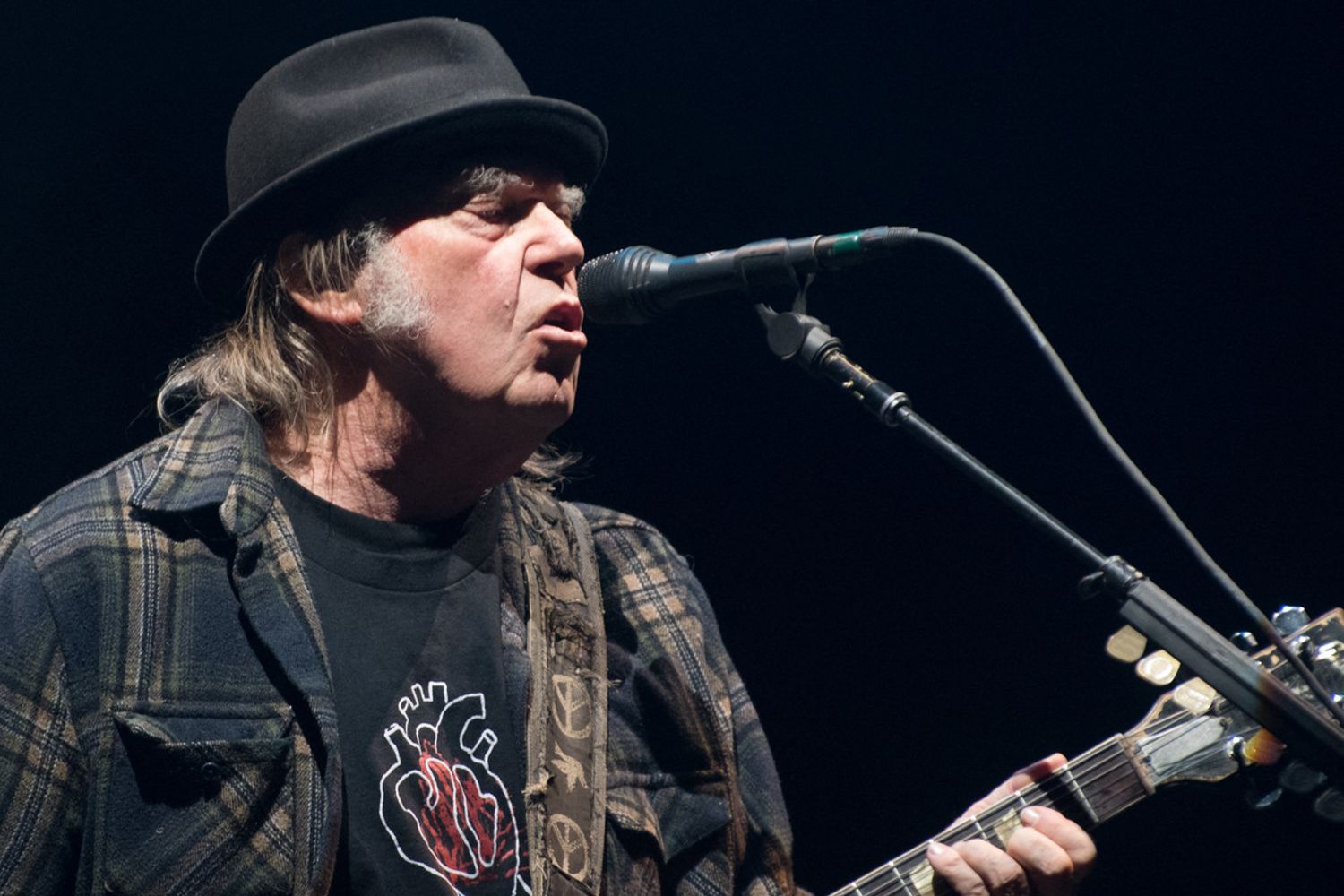 Neil Young&nbsp;