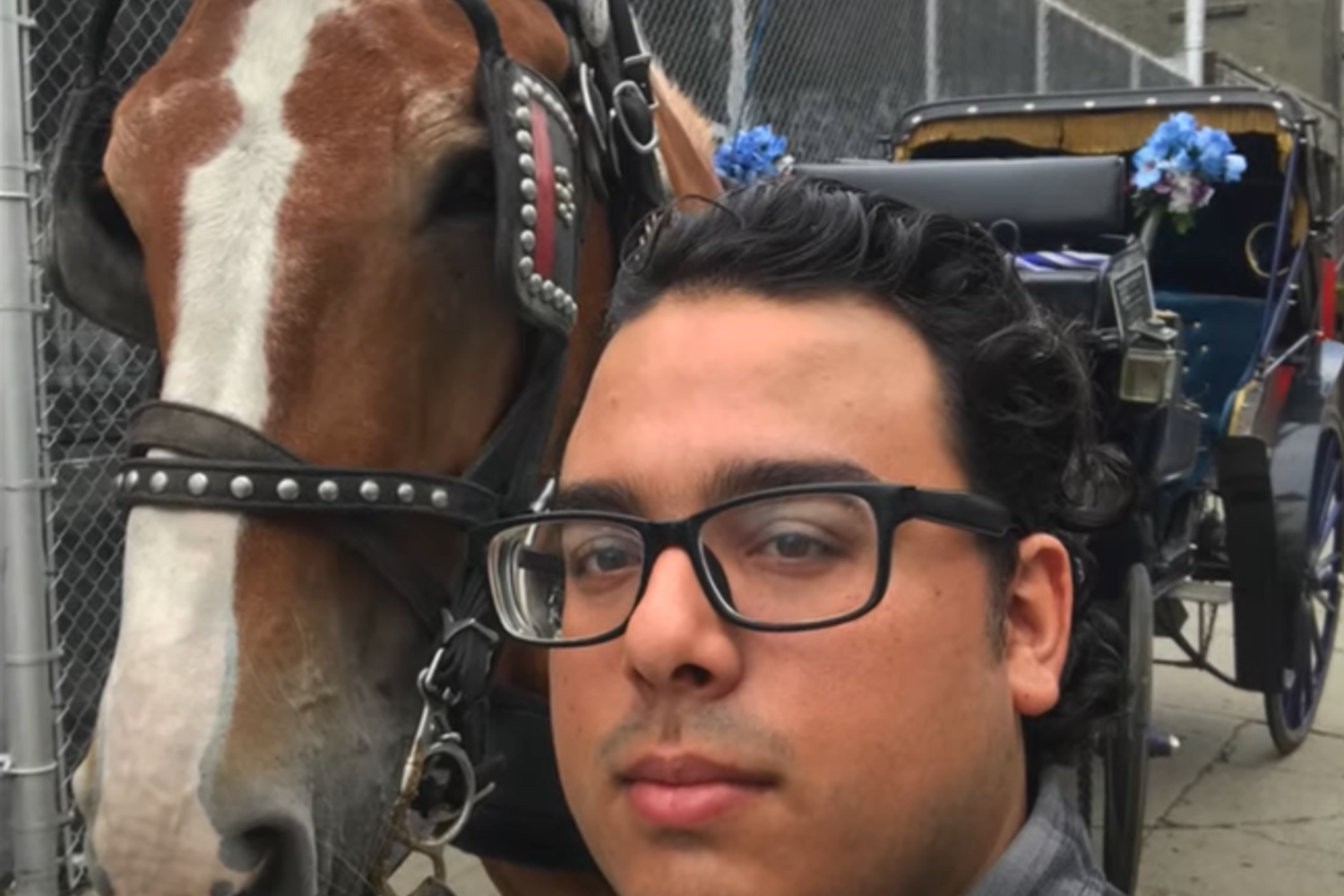 Anthony D'Onofrio&nbsp;