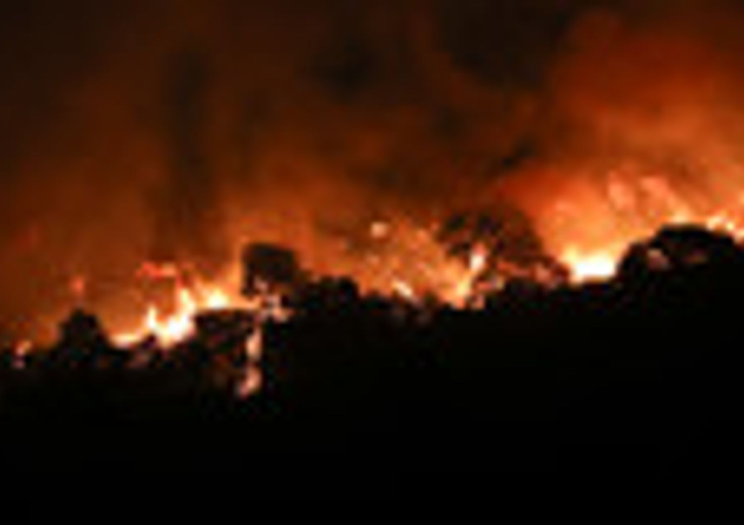 Incendio boschivo&nbsp;