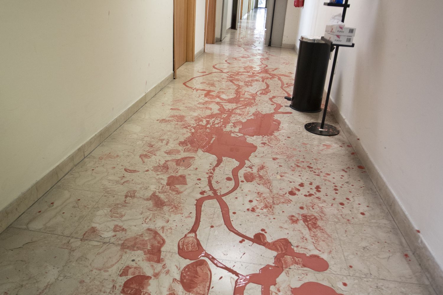 I corridoi del Mite imbrattati di vernice&nbsp;