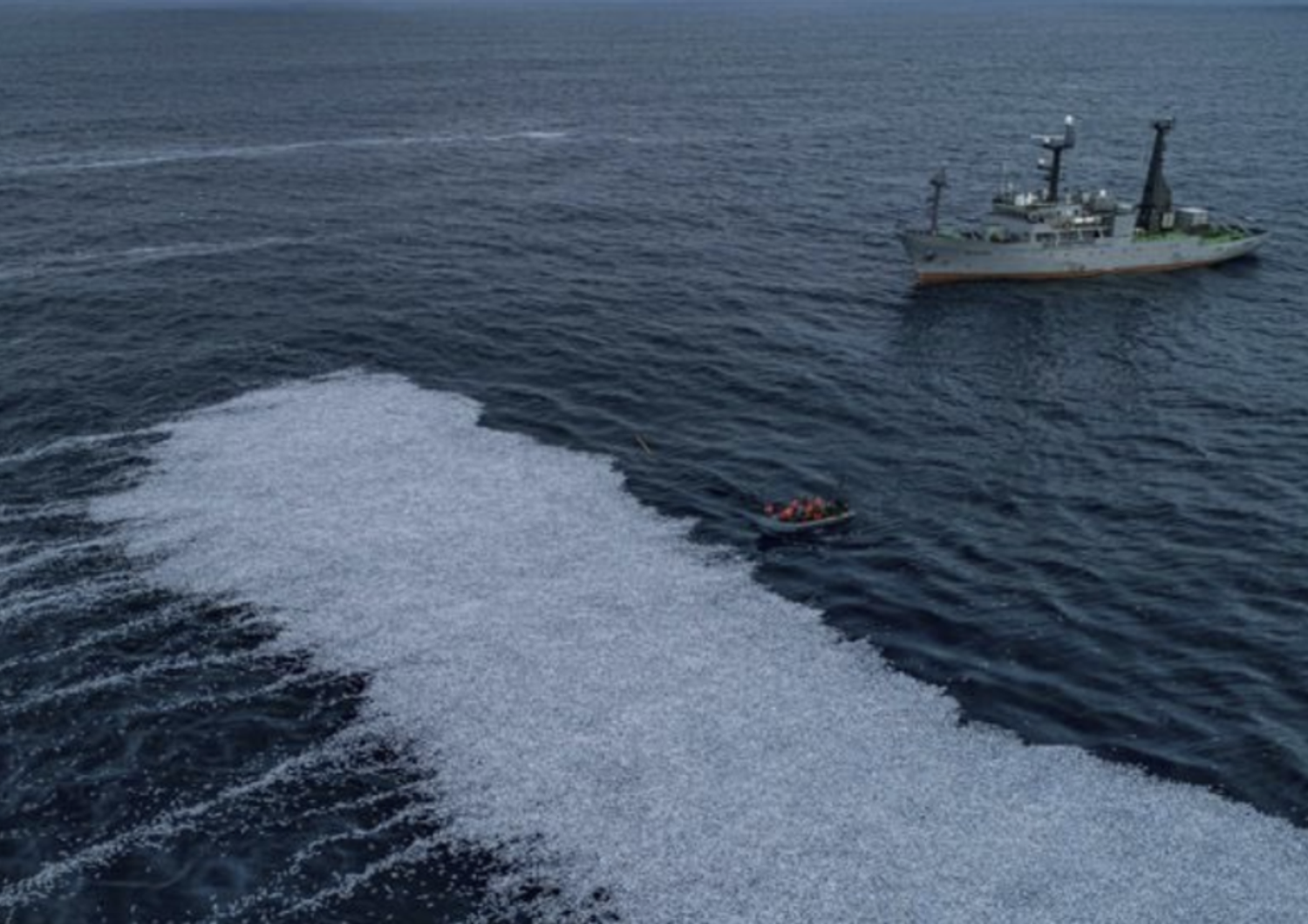 Strage di pesci potassolo nel Golfo di Biscaglia