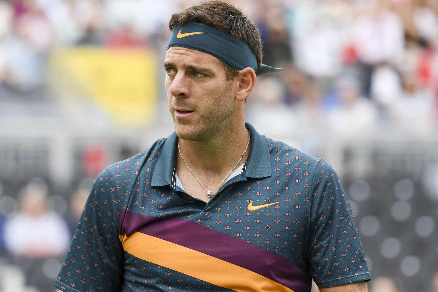 Juan Martin Del Potro