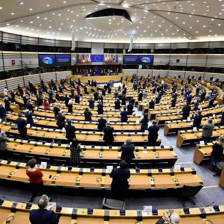 Il Parlamento Europeo&nbsp;
