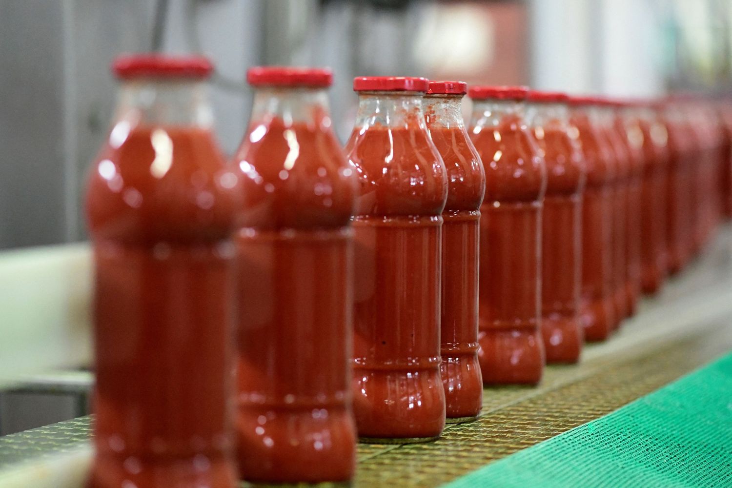 Bottiglie di pomodoro