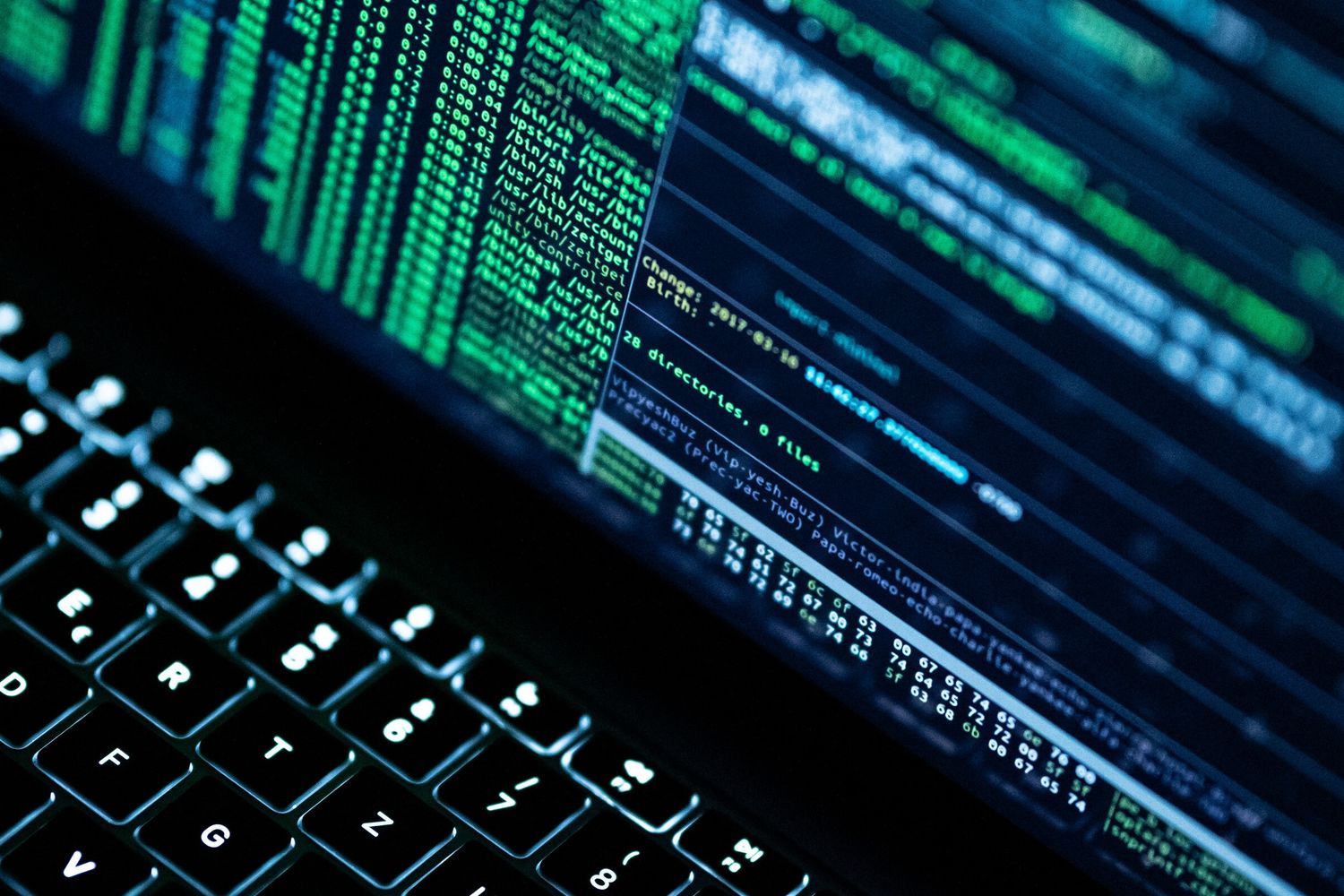 Software hacker&nbsp;