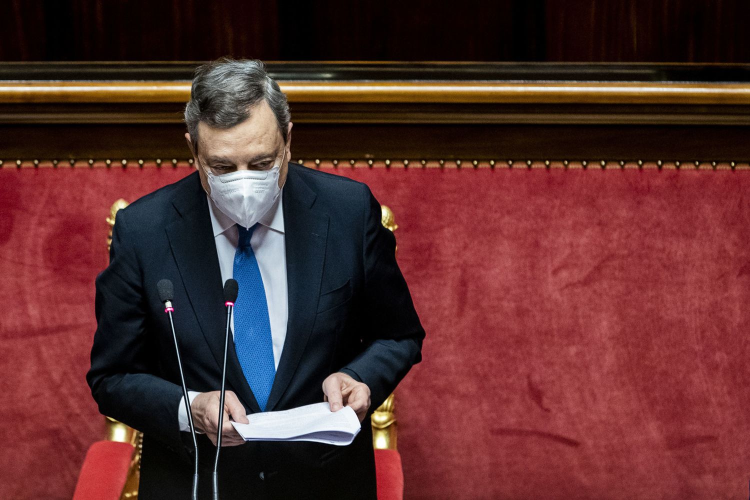 Mario Draghi al Senato