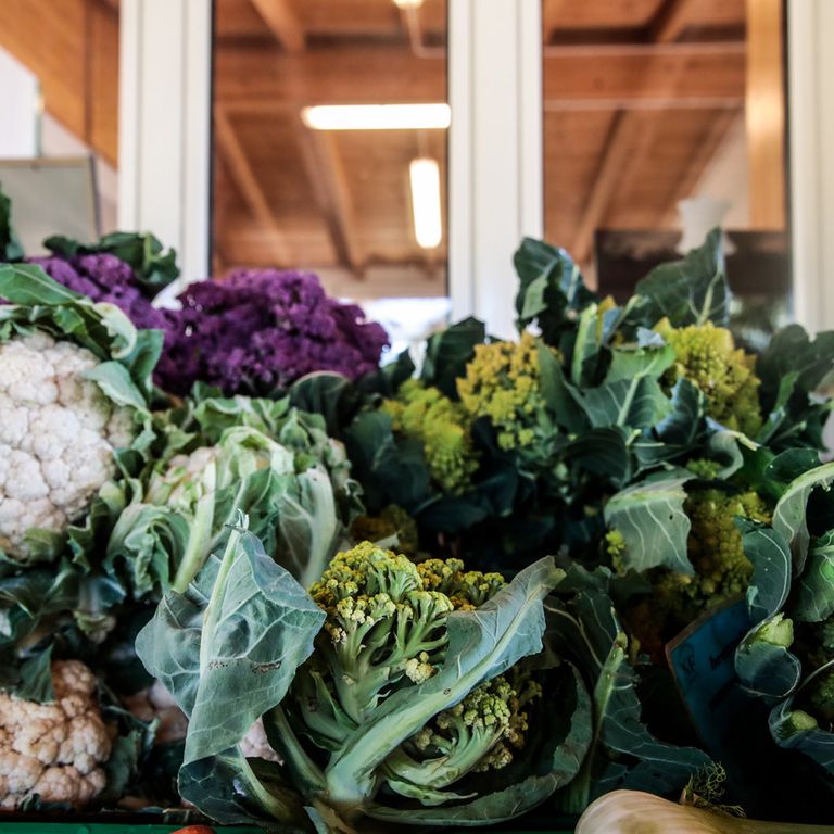 Agricoltura biologica