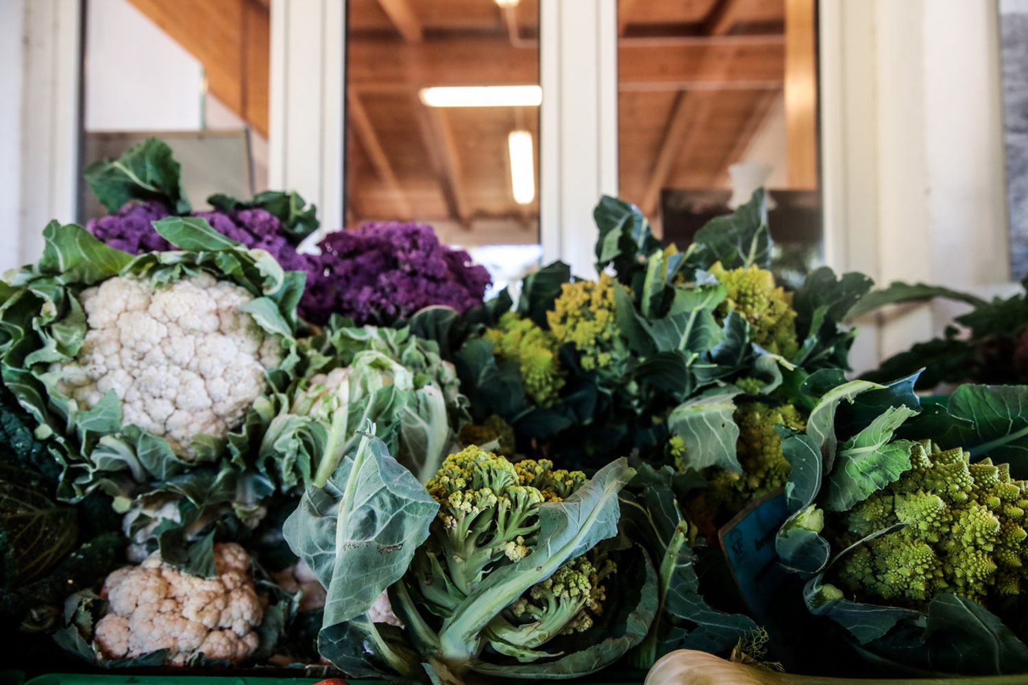 Agricoltura biologica