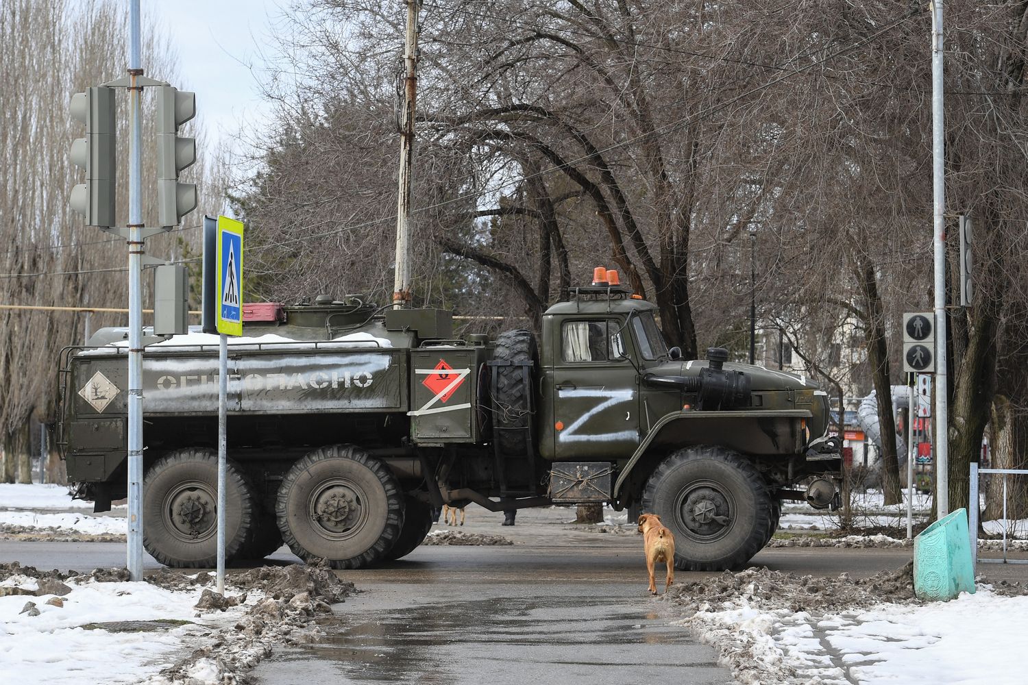 Z sui mezzi armati russi