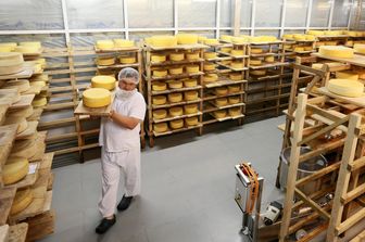 Una fabbrica di 'Parmesan' in Russia