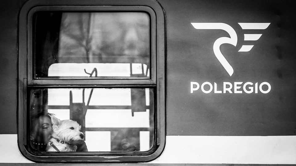 Il dramma del popolo ucraino attraverso gli sguardi dei rifugiati in fuga dalla guerra