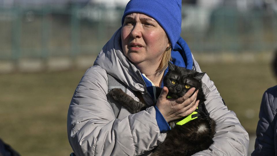 Una donna abbraccia il suo gatto&nbsp;