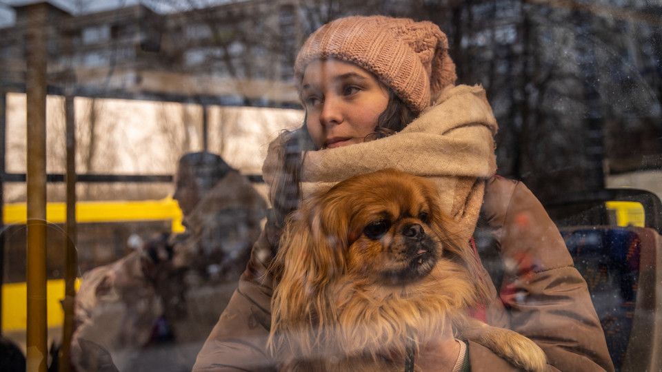 Una ragazza e il suo cane lasciano Kiev