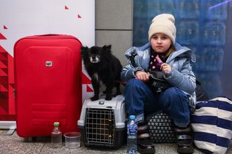 Una bambina mangia un gelato in compagnia del suo cane nel centro di accoglienza di Cracovia