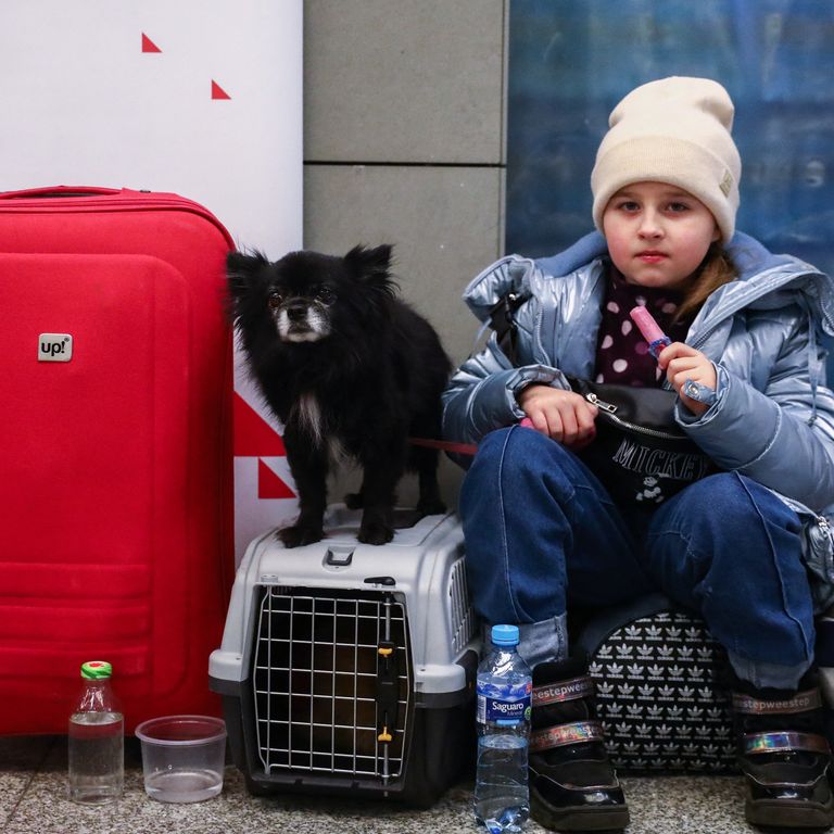 Una bambina mangia un gelato in compagnia del suo cane nel centro di accoglienza di Cracovia